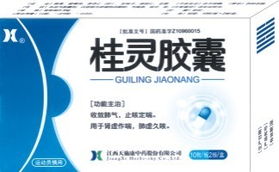 桂靈膠囊權(quán)威全解 招商指南、說(shuō)明書與醫(yī)藥價(jià)值深度分析
